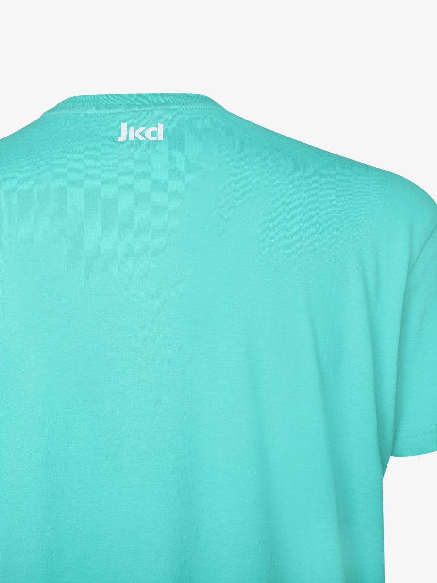 ec173cb60d93128f58d6b02056c67771_AZZURRO_JATSU13011_8_T17